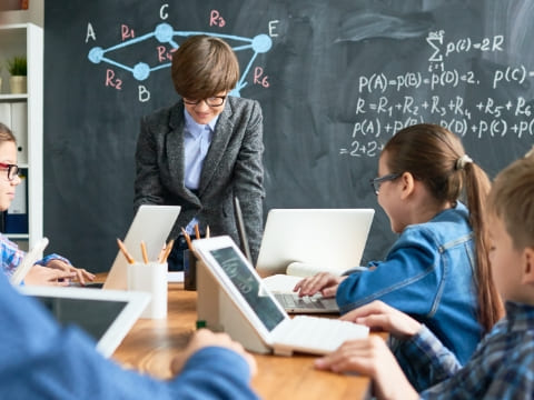 広大な地で緑の野菜を沢山育てている様子